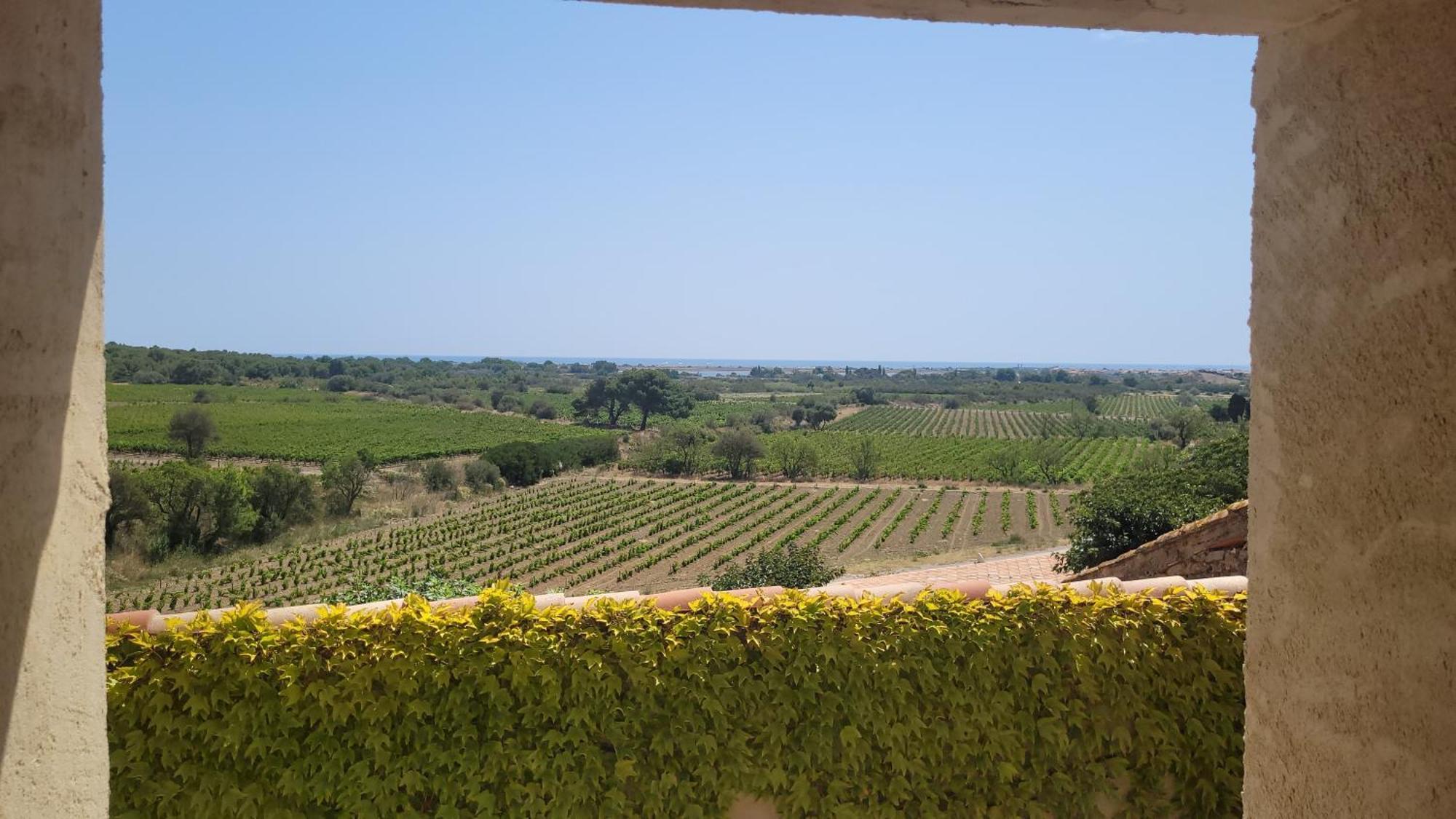جرْويسا Chateau Le Bouis المظهر الخارجي الصورة