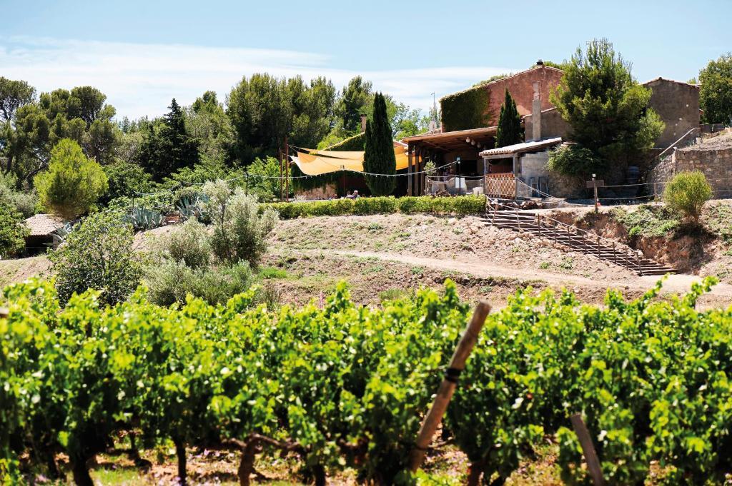 جرْويسا Chateau Le Bouis المظهر الخارجي الصورة