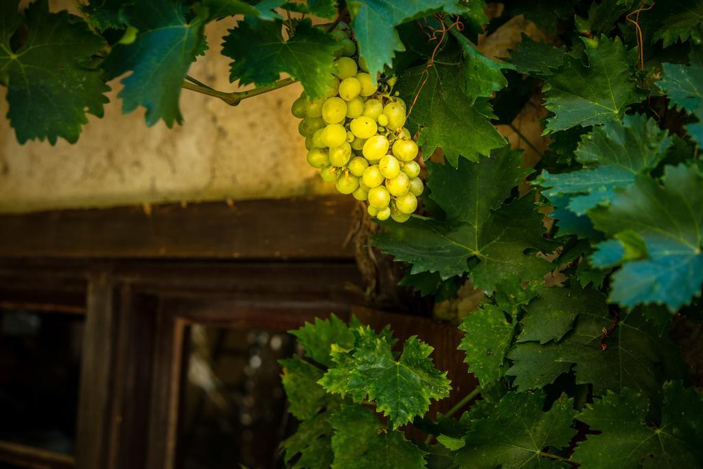 جرْويسا Chateau Le Bouis المظهر الخارجي الصورة
