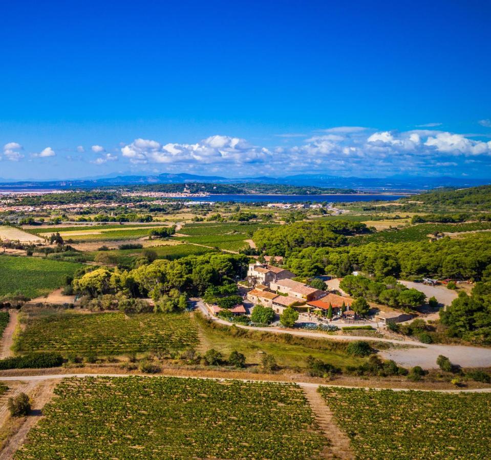 جرْويسا Chateau Le Bouis المظهر الخارجي الصورة